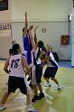 Basket 252034
